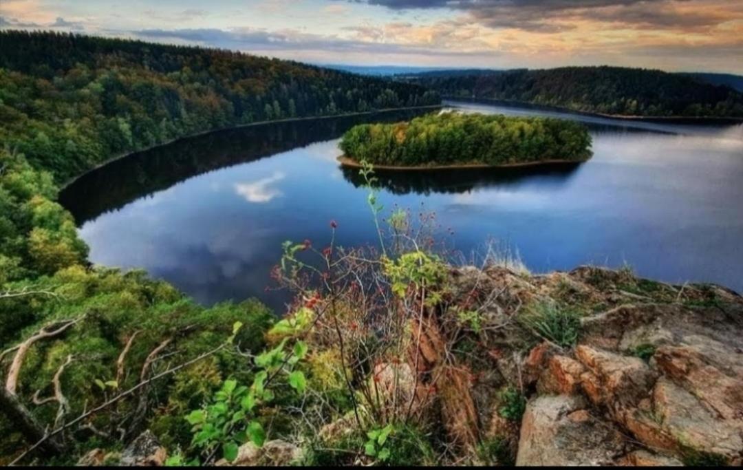 Luxusní Chata Sečanda v Železných horách u Sečské Přehrady Exterior foto